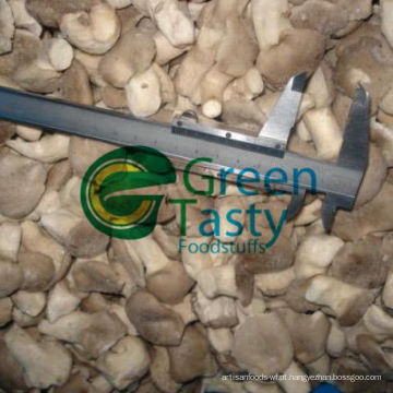 Novo cogumelo IQF Fresh Baby Oyster Mushroom